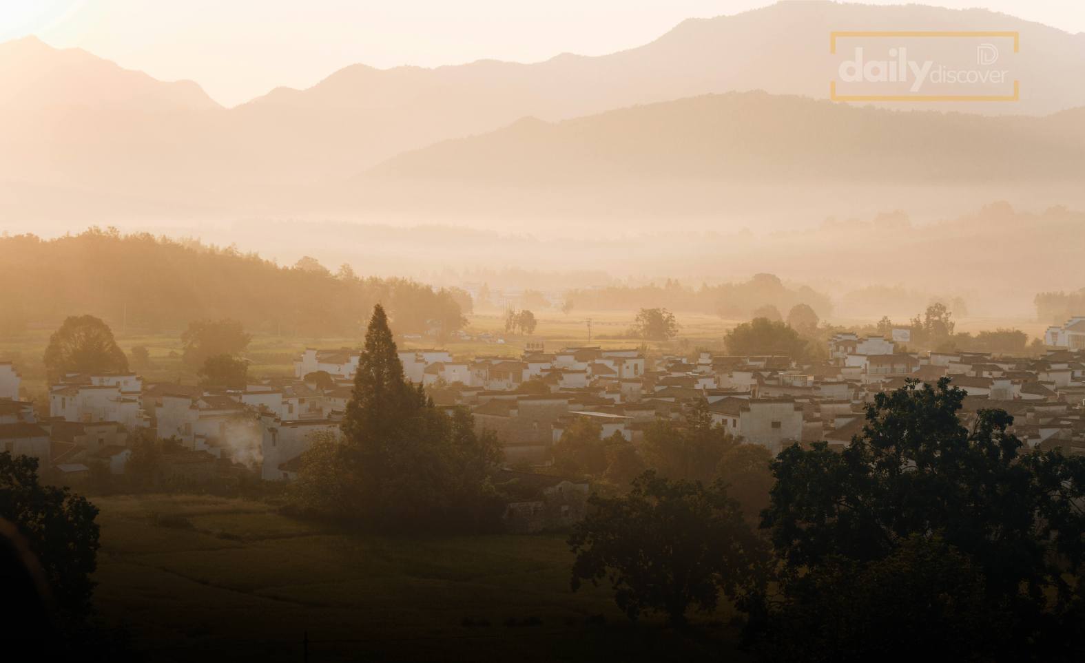 Heavy fog covering a highway in Andhra Pradesh during cold wave