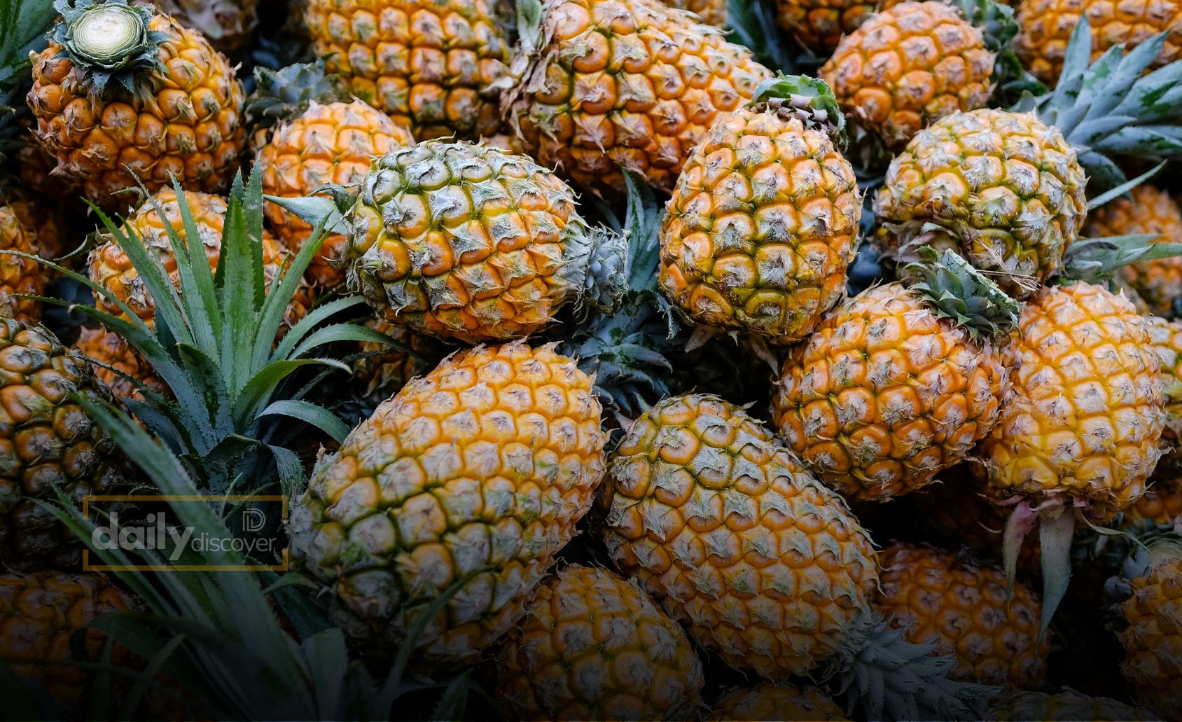 Fresh Pineapple slices and chunks on a cutting board